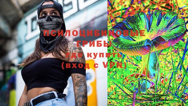 гашик Нефтекумск