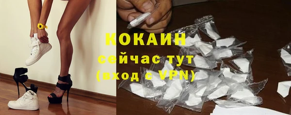 гашик Нефтекумск