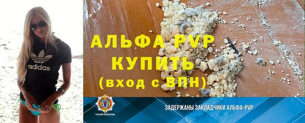 гашик Нефтекумск